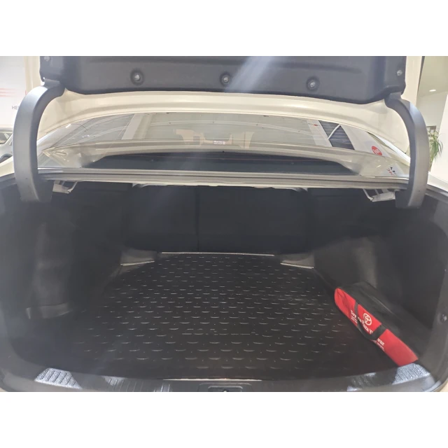 2023 TOYOTA COROLLA DREAM