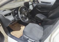 2023 TOYOTA COROLLA DREAM